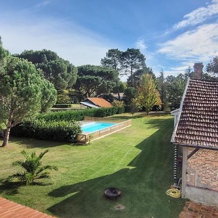 Charmante Maison Dans Les Landes X 10 Avec Piscine Et Salle D Escalade Lue エクステリア 写真