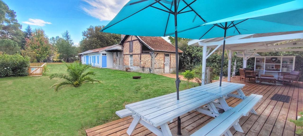 Charmante Maison Dans Les Landes X 10 Avec Piscine Et Salle D Escalade Lue エクステリア 写真