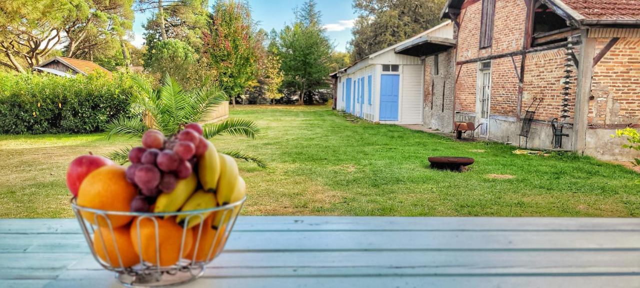 Charmante Maison Dans Les Landes X 10 Avec Piscine Et Salle D Escalade Lue エクステリア 写真