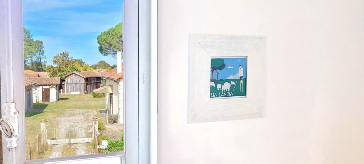 Charmante Maison Dans Les Landes X 10 Avec Piscine Et Salle D Escalade Lue エクステリア 写真