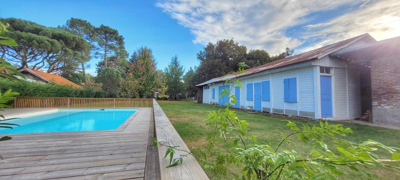 Charmante Maison Dans Les Landes X 10 Avec Piscine Et Salle D Escalade Lue エクステリア 写真